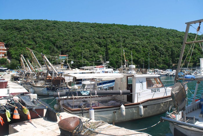 Fishing boats in the sheltered harbour at Krnica Luka