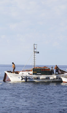 Komiza fishermen