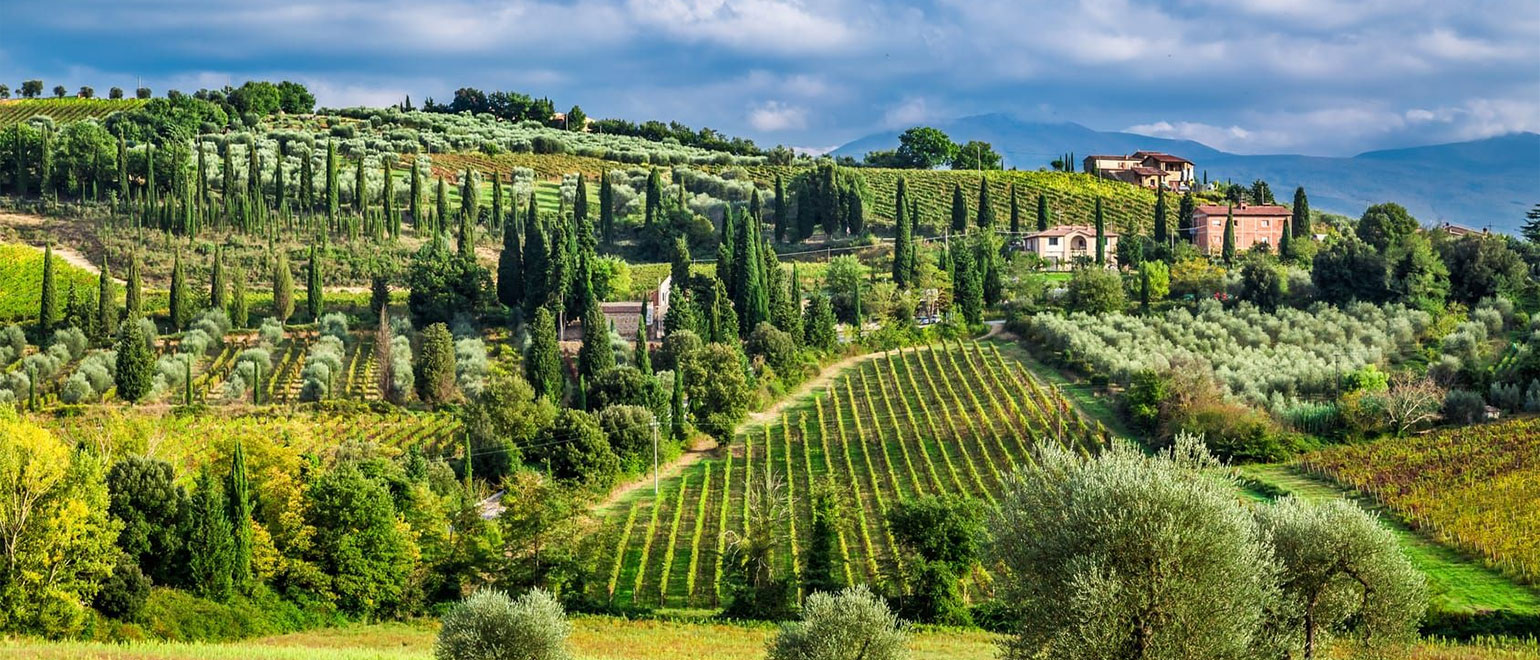 Wine tour clearance