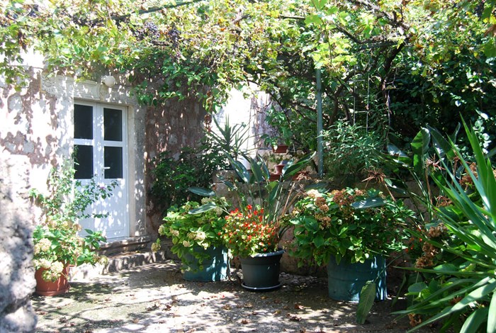 Traditional house on Kolocep