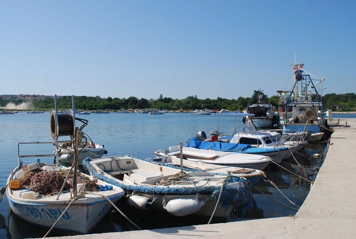 Fishing boats in Liznjan harbour