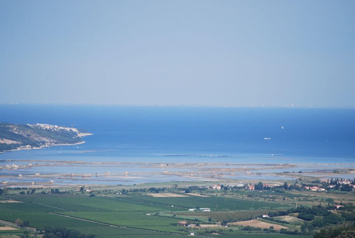 Mersice panorama