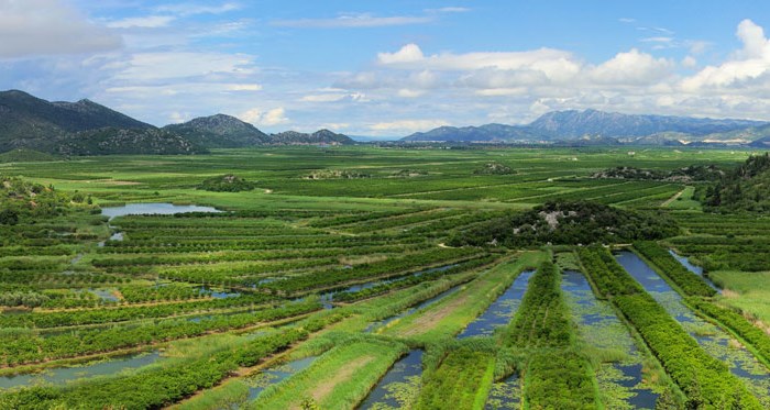 Delta view