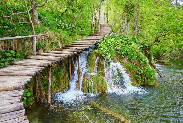 Plitvice walkway close up