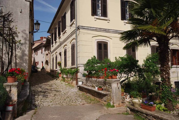 Tinjan street scene