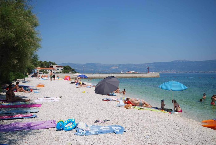 Dalmatian beach